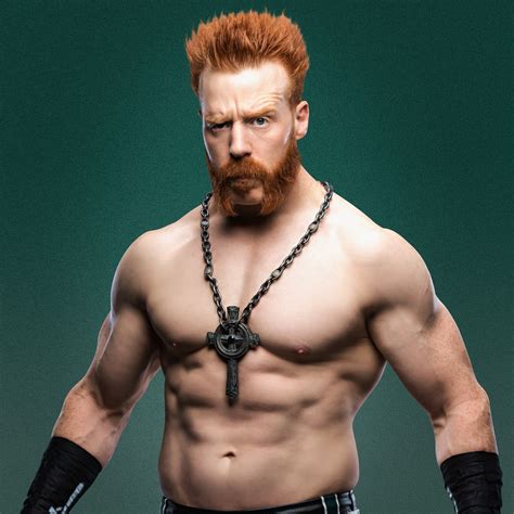 shemesh wwe|Sheamus .